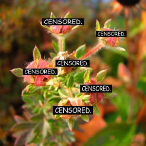 Why is it only legitimate when we take away the sex? Censored plant